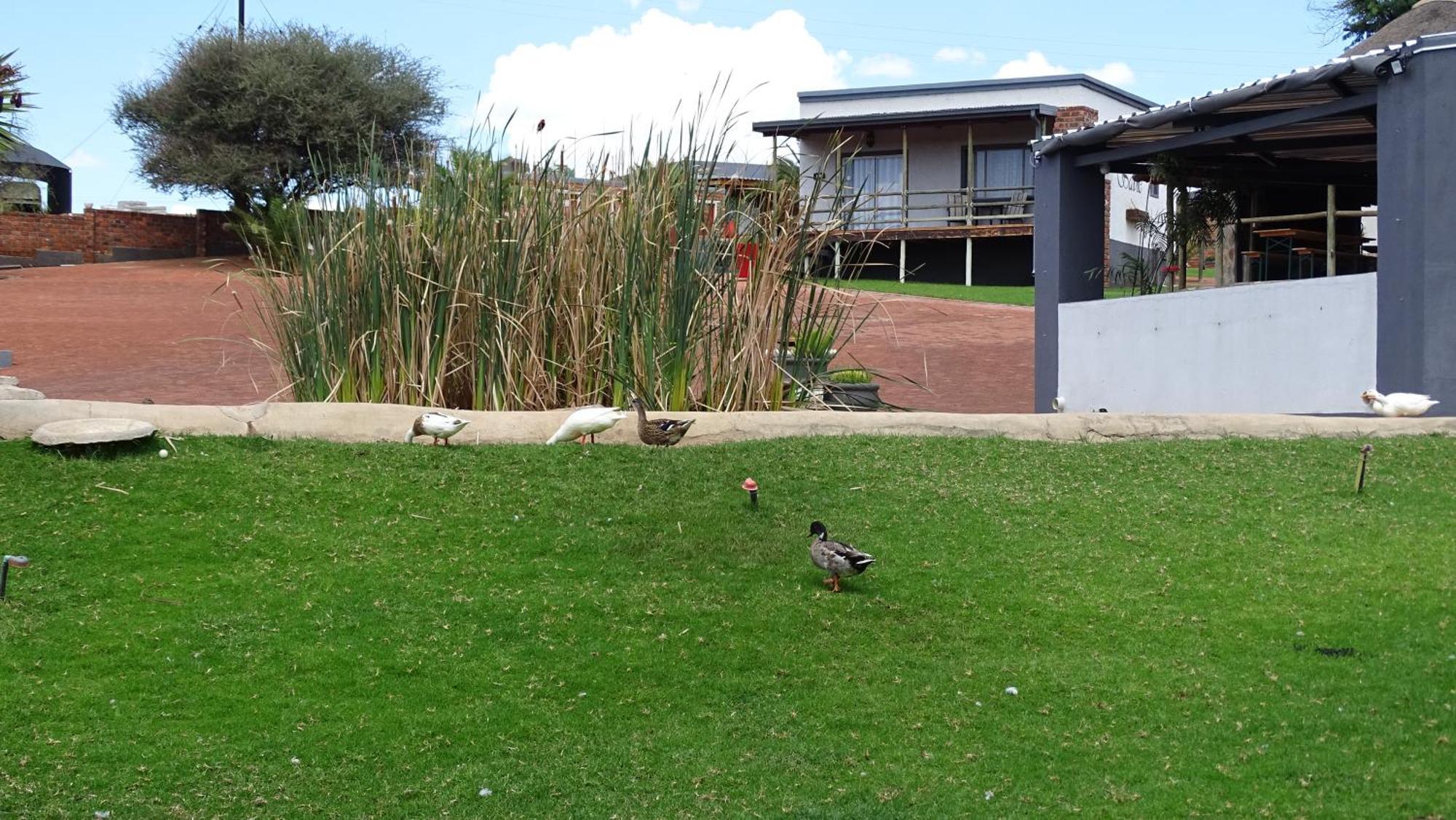Eden Chalets Windhoek Dış mekan fotoğraf